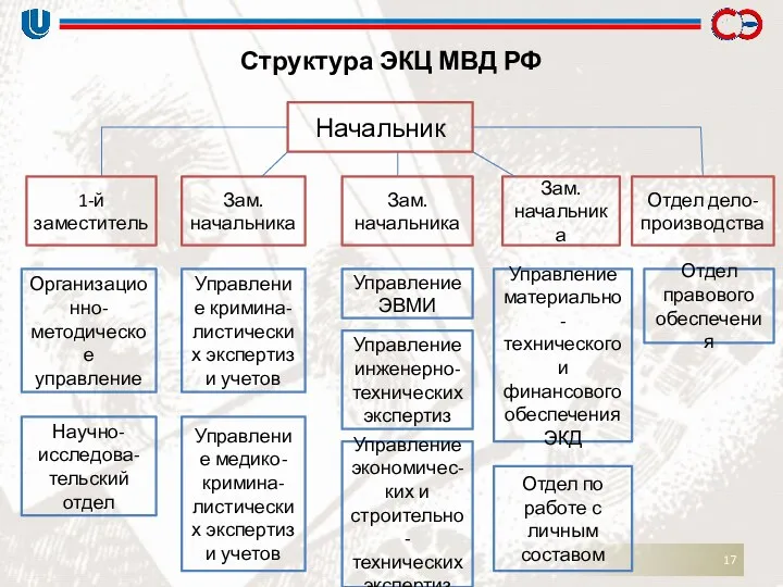 Структура ЭКЦ МВД РФ Начальник 1-й заместитель Зам. начальника Зам.