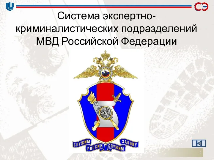 Система экспертно-криминалистических подразделений МВД Российской Федерации