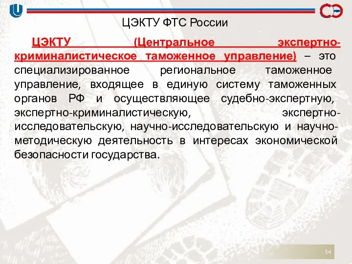 ЦЭКТУ ФТС России ЦЭКТУ (Центральное экспертно-криминалистическое таможенное управление) – это