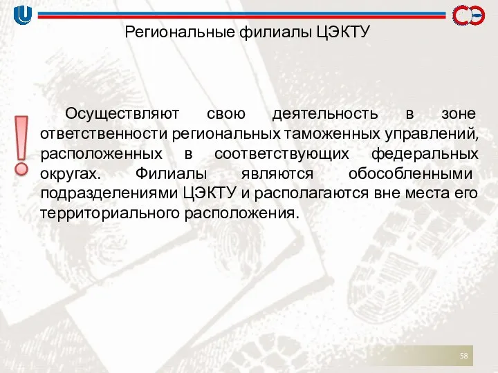 Региональные филиалы ЦЭКТУ Осуществляют свою деятельность в зоне ответственности региональных