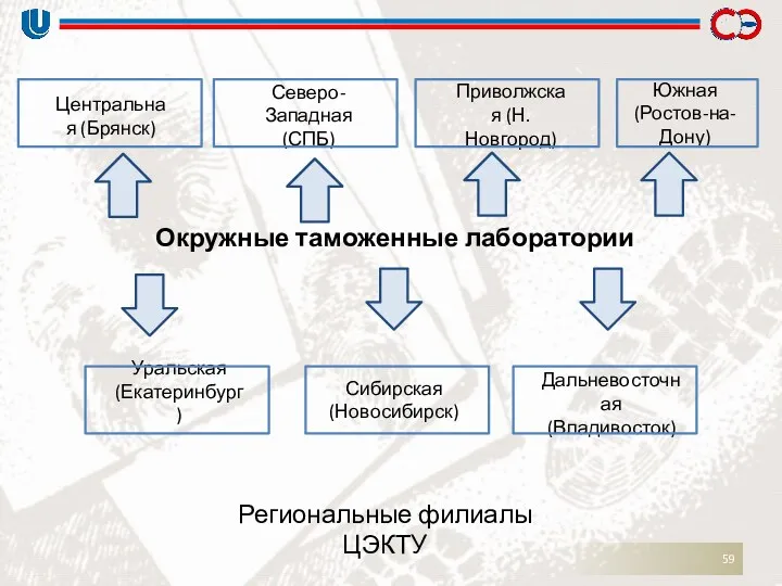 Окружные таможенные лаборатории Центральная (Брянск) Северо-Западная (СПБ) Приволжская (Н.Новгород) Южная