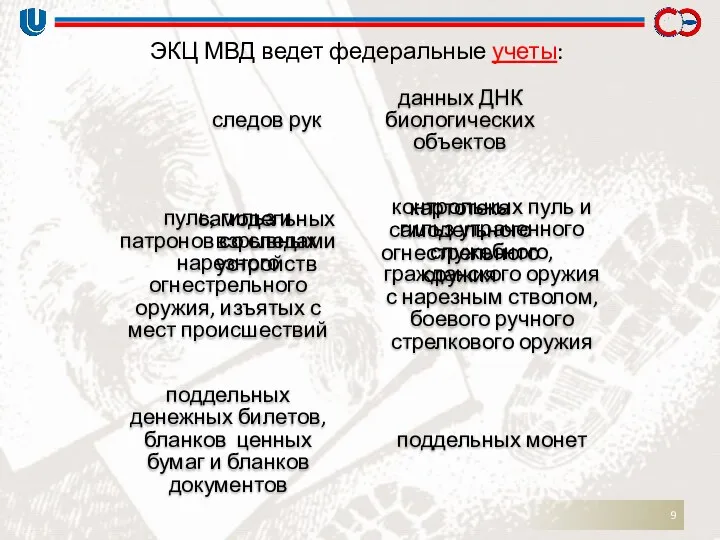 ЭКЦ МВД ведет федеральные учеты: следов рук данных ДНК биологических