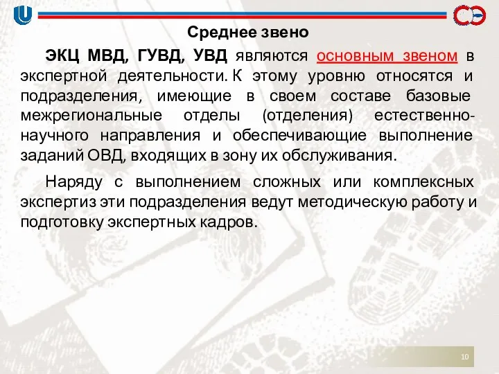 Среднее звено ЭКЦ МВД, ГУВД, УВД являются основным звеном в