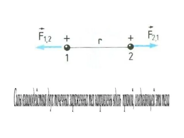 Силы взаимодействия двух точечных заряженных тел направлены вдоль прямой, соединяющей эти тела