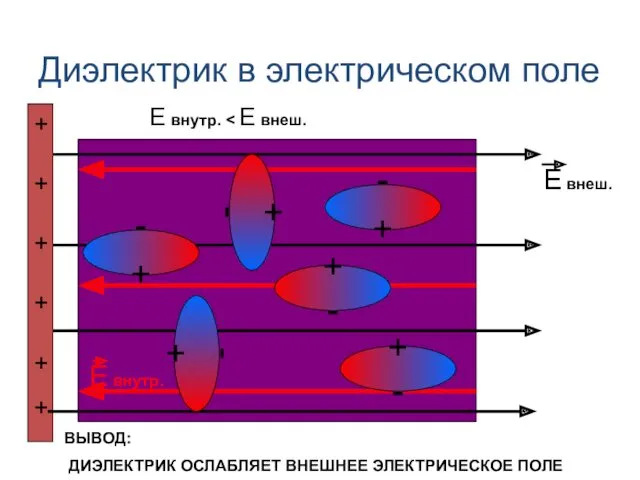 Диэлектрик в электрическом поле + - + + + +