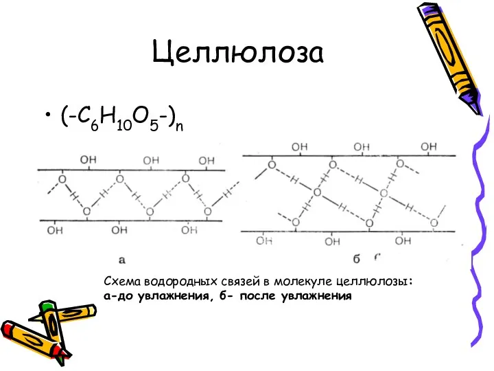 Целлюлоза (-С6Н10О5-)n Схема водородных связей в молекуле целлюлозы: а-до увлажнения, б- после увлажнения