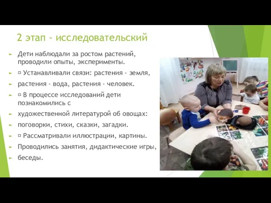 2 этап - исследовательский Дети наблюдали за ростом растений, проводили