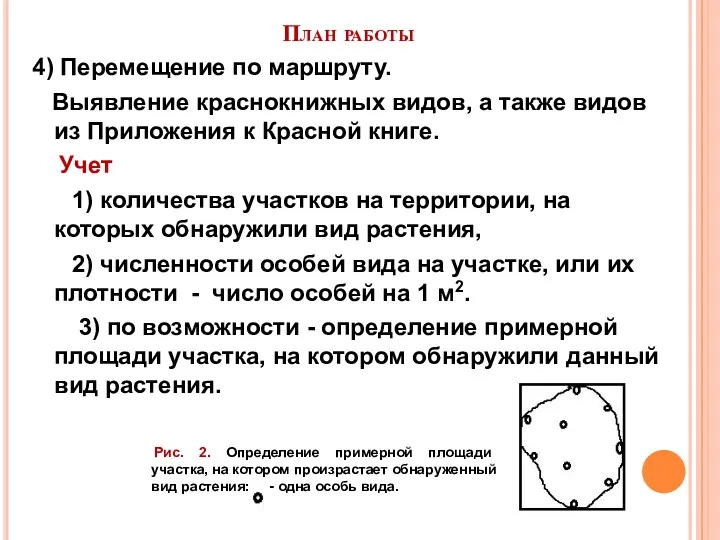 План работы 4) Перемещение по маршруту. Выявление краснокнижных видов, а