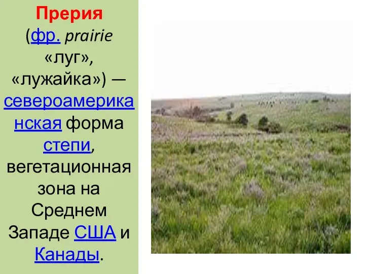 Прерия (фр. prairie «луг», «лужайка») — североамериканская форма степи, вегетационная