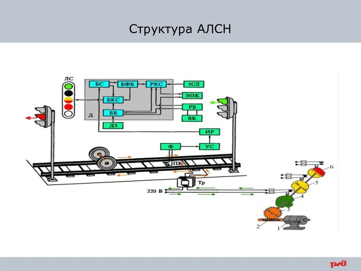 Структура АЛСН