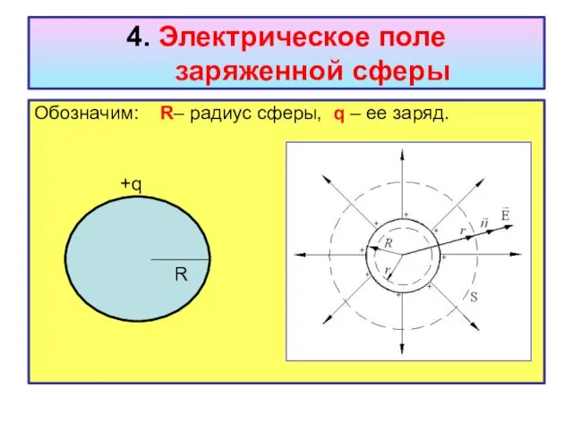 4. Электрическое поле заряженной сферы Обозначим: R– радиус сферы, q – ее заряд. R +q
