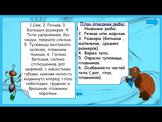 План описания рыбы: Название рыбы. 2. Речная или морская. 3.