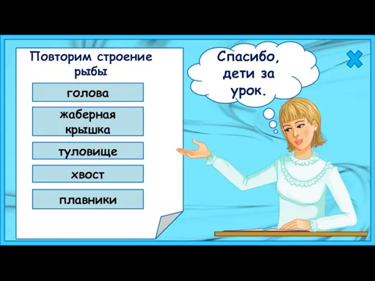 Повторим строение рыбы голова жаберная крышка туловище хвост плавники Спасибо, дети за урок.