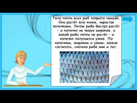 Тело почти всех рыб покрыто чешуёй. Она растёт всю жизнь,