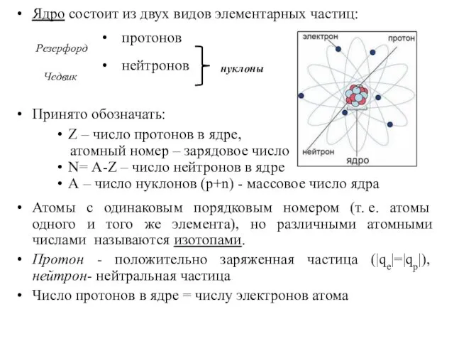 Ядро состоит из двух видов элементарных частиц: протонов нейтронов Принято