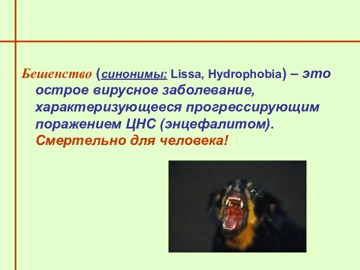 Бешенство (синонимы: Lissa, Hydrophobia) – это острое вирусное заболевание, характеризующееся