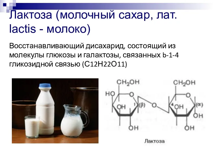 Лактоза (молочный сахар, лат. lactis - молоко) Восстанавливающий дисахарид, состоящий из молекулы глюкозы