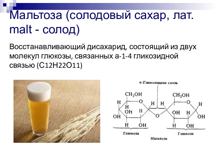 Мальтоза (солодовый сахар, лат. malt - солод) Восстанавливающий дисахарид, состоящий из двух молекул