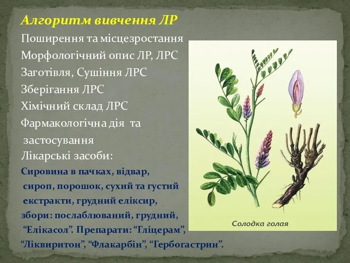 Алгоритм вивчення ЛР Поширення та мiсцезростання Морфологічний опис ЛР, ЛРС Заготівля, Сушіння ЛРС