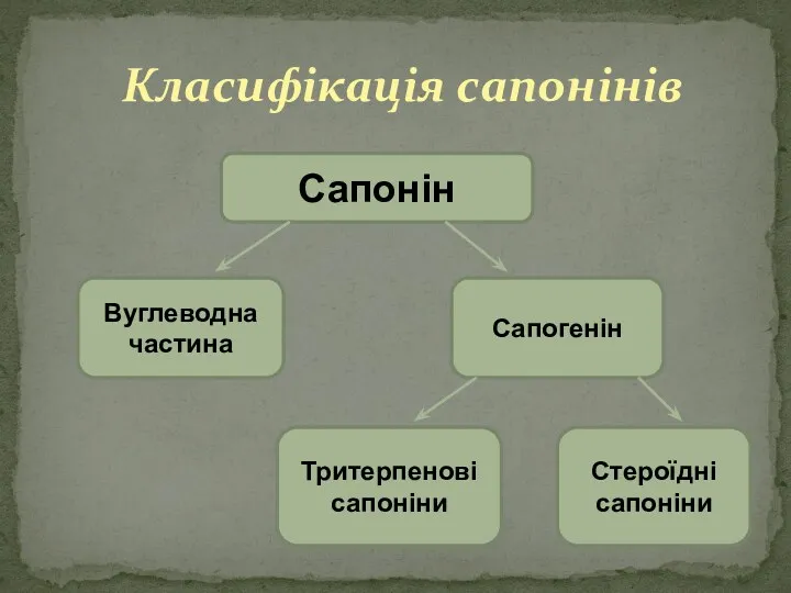 Класифікація сапонінів Сапонін Вуглеводна частина Сапогенін Тритерпенові сапоніни Стероїдні сапоніни