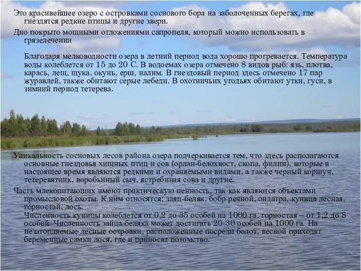 Это красивейшее озеро с островками соснового бора на заболоченных берегах,