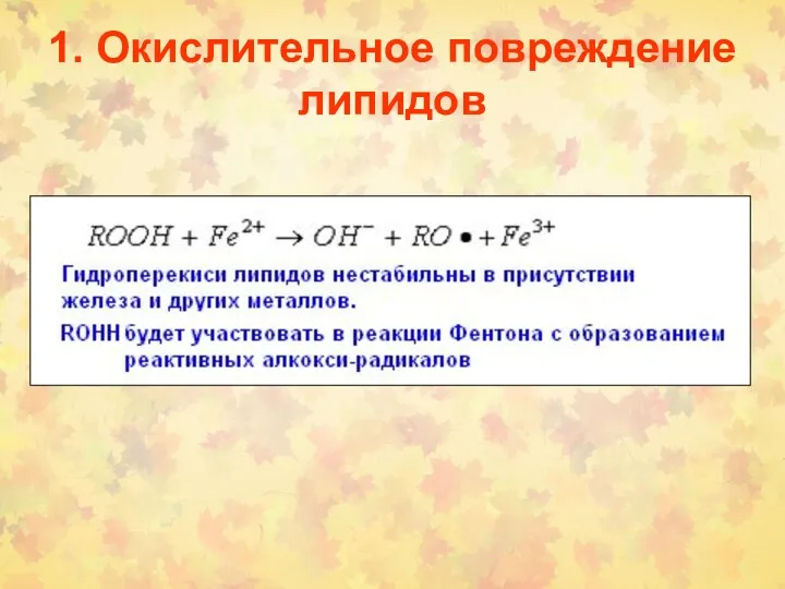 1. Окислительное повреждение липидов