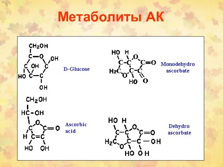 Метаболиты АК