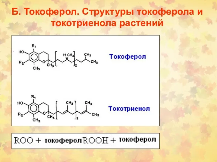 Б. Токоферол. Структуры токоферола и токотриенола растений