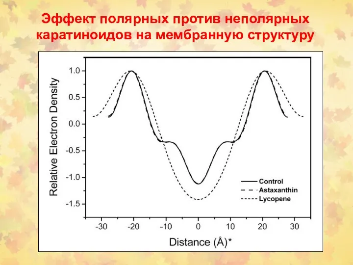 Эффект полярных против неполярных каратиноидов на мембранную структуру