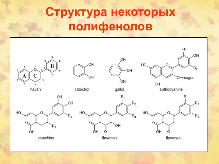 Структура некоторых полифенолов