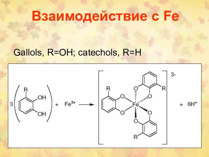 Взаимодействие с Fe Gallols, R=OH; catechols, R=H