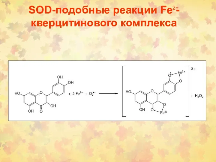 SOD-подобные реакции Fe - кверцитинового комплекса 2+