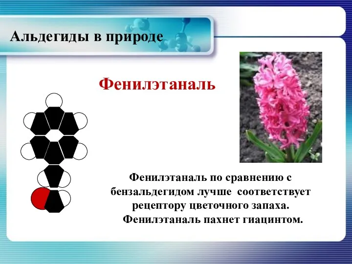 Фенилэтаналь Фенилэтаналь по сравнению с бензальдегидом лучше соответствует рецептору цветочного