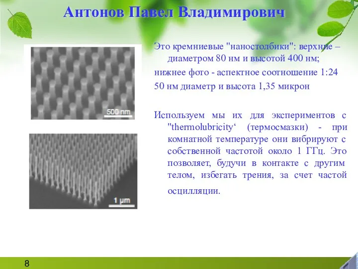 Это кремниевые "наностолбики": верхние – диаметром 80 нм и высотой