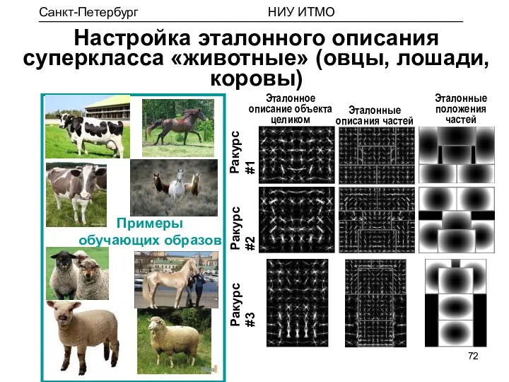 Примеры обучающих образов Ракурс #1 Ракурс #2 Ракурс #3 Эталонное