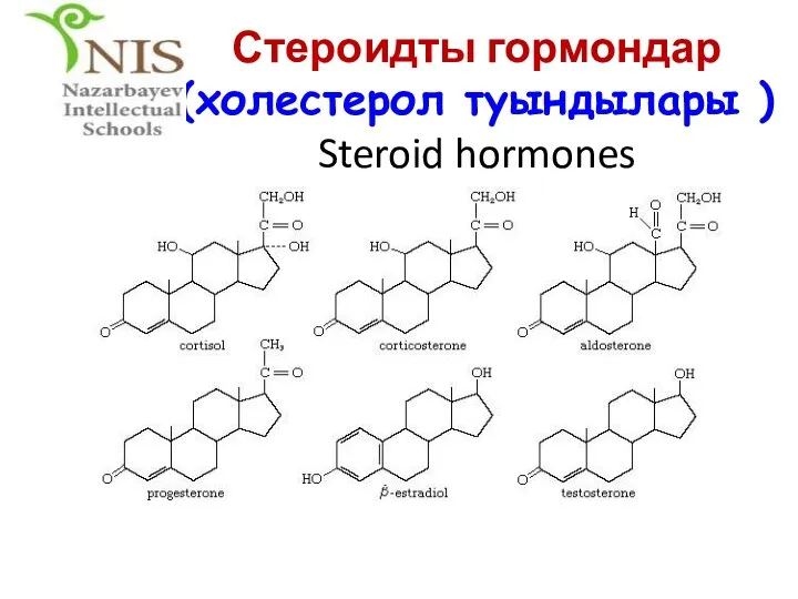 Стероидты гормондар (холестерол туындылары ) Steroid hormones