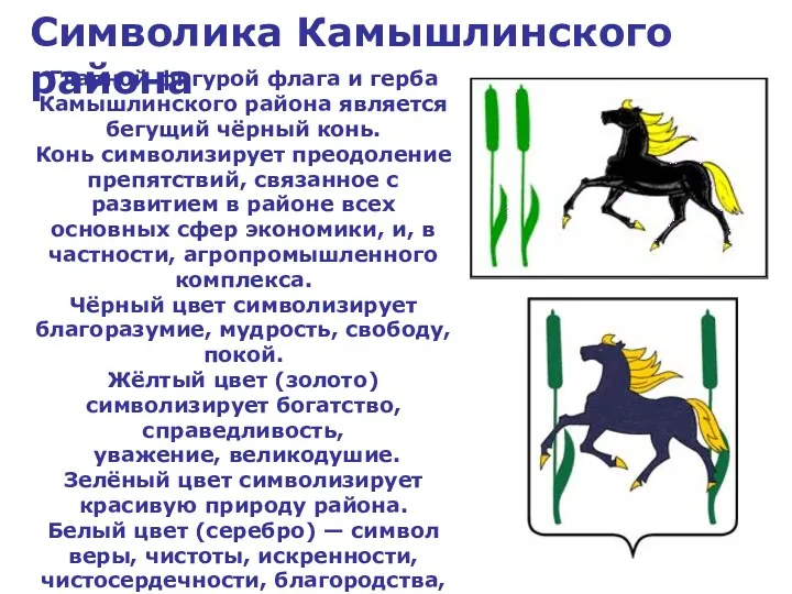 Главной фигурой флага и герба Камышлинского района является бегущий чёрный конь. Конь символизирует