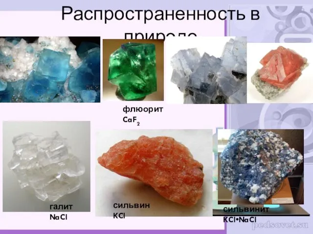 Распространенность в природе галит NaCl сильвин KCl сильвинит KCl•NaCl флюорит CaF2