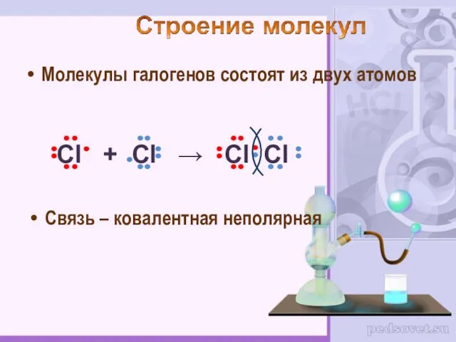 Молекулы галогенов состоят из двух атомов Связь – ковалентная неполярная