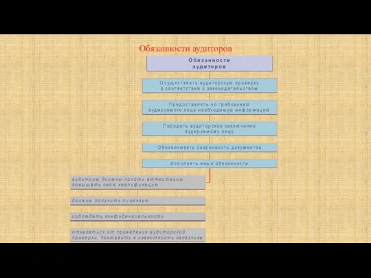 Обязанности аудиторов