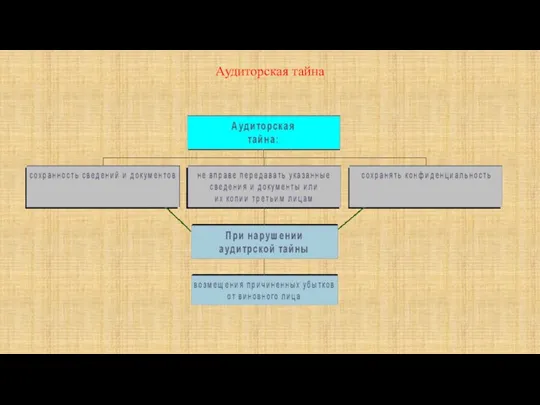 Аудиторская тайна