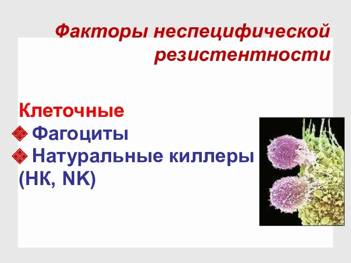 Клеточные Фагоциты Натуральные киллеры (НК, NK) Факторы неспецифической резистентности
