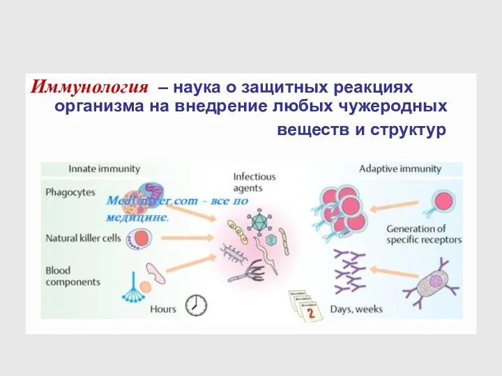 Иммунология – наука о защитных реакциях организма на внедрение любых чужеродных веществ и структур