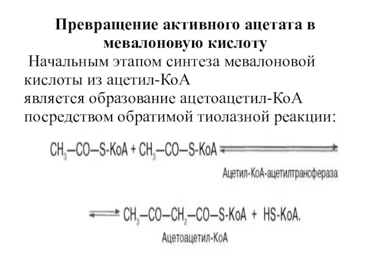 Превращение активного ацетата в мевалоновую кислоту Начальным этапом синтеза мевалоновой