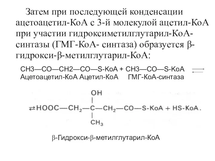 Затем при последующей конденсации ацетоацетил-КоА с 3-й молекулой ацетил-КоА при