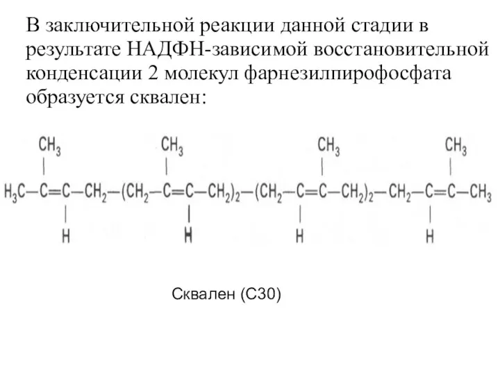 В заключительной реакции данной стадии в результате НАДФН-зависимой восстановительной конденсации