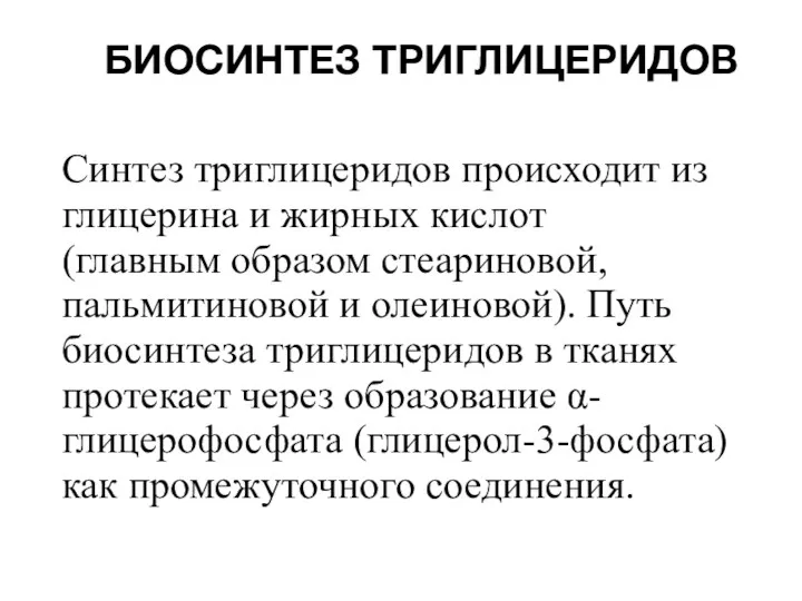 БИОСИНТЕЗ ТРИГЛИЦЕРИДОВ Синтез триглицеридов происходит из глицерина и жирных кислот