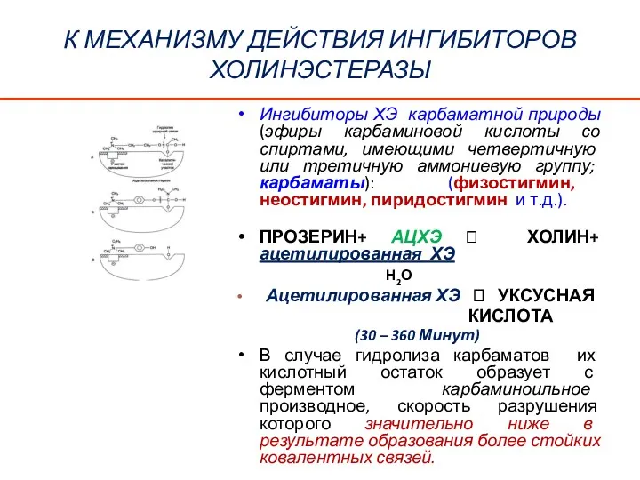 К МЕХАНИЗМУ ДЕЙСТВИЯ ИНГИБИТОРОВ ХОЛИНЭСТЕРАЗЫ Ингибиторы ХЭ карбаматной природы (эфиры карбаминовой кислоты со