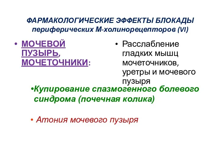 ФАРМАКОЛОГИЧЕСКИЕ ЭФФЕКТЫ БЛОКАДЫ периферических М-холинорецепторов (VI) МОЧЕВОЙ ПУЗЫРЬ, МОЧЕТОЧНИКИ: Расслабление гладких мышц мочеточников,