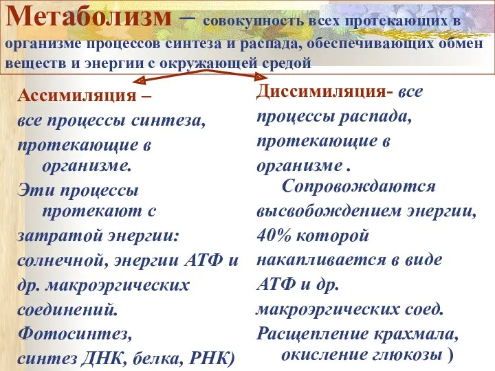 Метаболизм – совокупность всех протекающих в организме процессов синтеза и